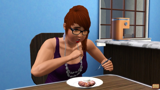 Sizzle Baby Pro Deep Fryer and Frost-Bite Pro Ice Cream Machine (premium content for The Sims 3)