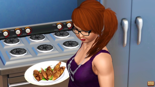 Sizzle Baby Pro Deep Fryer and Frost-Bite Pro Ice Cream Machine (premium content for The Sims 3)