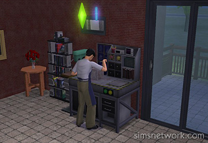 The Sims 2 Open For Business