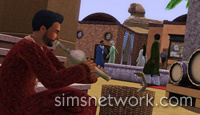 The Sims 3 World Adventures