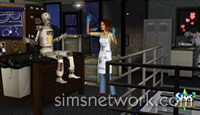 The Sims 3 Ambitions