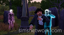 The Sims 3