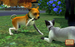 The Sims 3 Pets