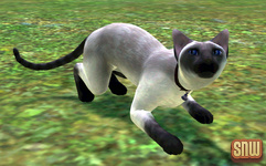 The Sims 3 Pets