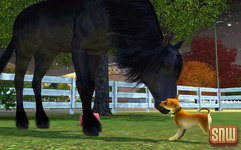 The Sims 3 Pets