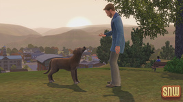 The Sims 3 Pets