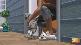 The Sims 3 Pets