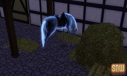 The Sims 3 Pets: Estela the ghost horse