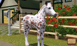 The Sims 3 Pets: GooGoo the horse