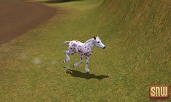 The Sims 3 Pets: GooGoo the horse