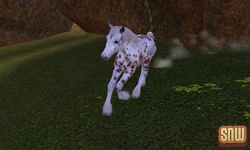 The Sims 3 Pets: GooGoo the horse