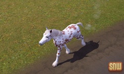 The Sims 3 Pets: GooGoo the horse