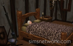 The Sims Medieval