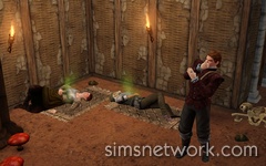 The Sims Medieval