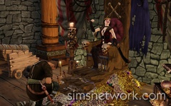 The Sims Medieval Pirates & Nobles