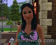 The Sims 3 Hidden Springs